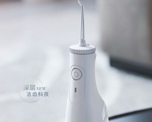 冲牙器哪个牌子性价比最高 五大品牌实测推荐，助你轻松避坑
